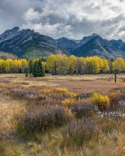 Mountains and autumn colours