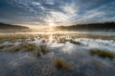 Mist hagnt boven een ven bij zonsopgang