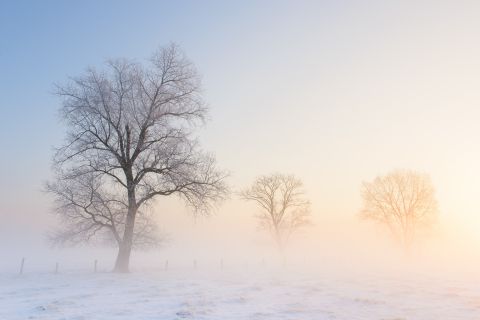 Winterse zonsopgang in de Avelgemse scheldemeersen