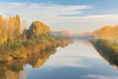 Herfst langs de Schelde