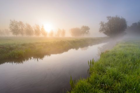 Mist hangt over een gracht in de Kalkense Meersen