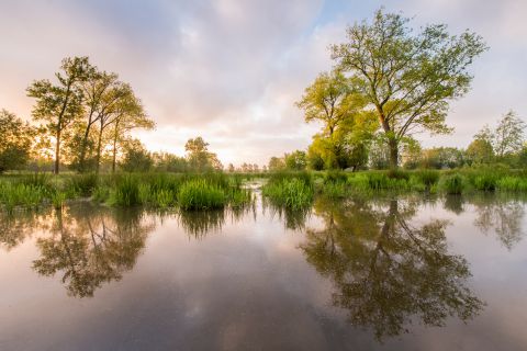 Bomen in de Keuzemeersen reflecteren in een gracht