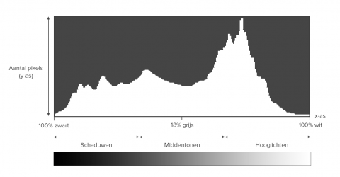 Histogram